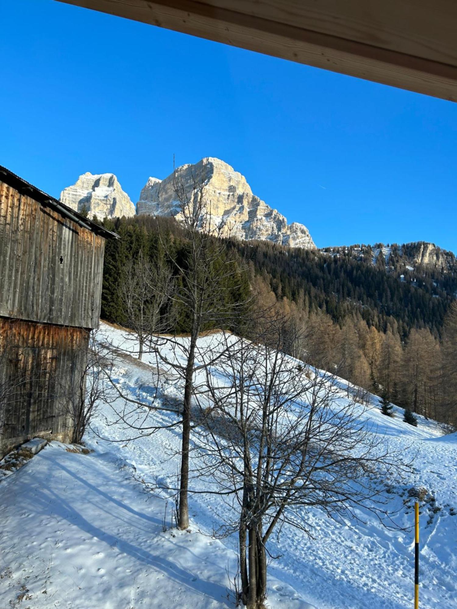 Chalet M Val di Zoldo Extérieur photo